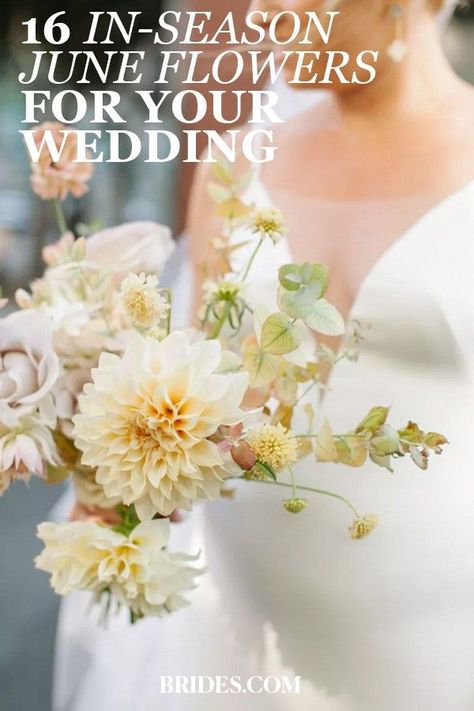 Best Flowers For Arrangements, Top Wedding Flowers, Best Flowers For June Wedding, June Flowers For Wedding, Flowers June Wedding, Best Summer Wedding Flowers, June Seasonal Flowers, Early June Wedding Flowers, Wedding Flowers June Uk