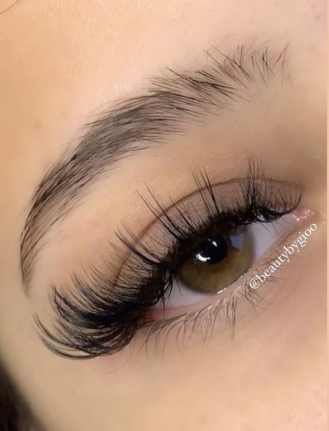 Hybrid Lashes, Lash Map, Lashes Extensions, Eyelash Extentions, Extension Ideas, Lash Extension, Lash Extensions, Eyelash Extensions, Eyelashes