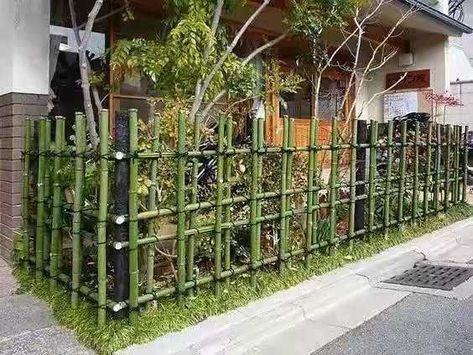 Backyard Bamboo, Backyard Simple, Bamboo Garden Fences, Diy Bamboo, Fence Wood, Decorative Garden Fencing, Green Fence, Backyard Garden Landscape, Diy Fence