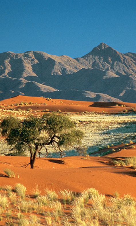 African landscape African Desert Landscape, West African Landscape, African Plains Landscape, African Scenery Landscapes, African Desert Aesthetic, Egypt Landscape Photography, Middle Eastern Landscape, African Nature Aesthetic, Nigerian Landscape