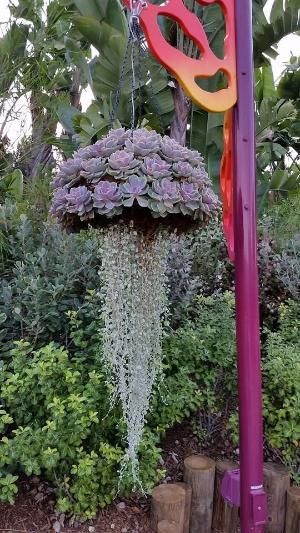 Hanging Plants On Fence, Tanaman Sukulen, Pot Gantung, Taman Diy, Vertical Vegetable Gardens, Tanaman Pot, Jardim Diy, Flowers Hanging, Basket Diy