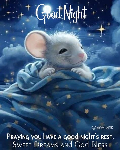 Sleepy Mouse - Good Night quotes night morning nights days good night images good night blessings good night picture quotes good night 2024 quotes good night blessings 2024 Good Night Pictures, Maus Illustration, Arte Do Mickey Mouse, Good Night Funny, Quote Images, Quotes That Inspire, Emoji Love, Cute Good Night, Slaap Lekker