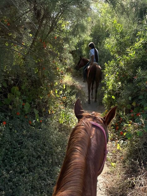 Horse Lifestyle, Horse Riding Aesthetic, Horsey Life, Peaceful Heart, Horse Pics, Equestrian Aesthetic, Rasy Koni, Horse Aesthetic, Euro Summer