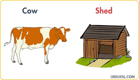 Animal And Their Homes With Pictures, Download Pdf & PPt Farm Animals Home, Animals And Their Homes Project, Animals And Their Homes Printables, Animal Homes Preschool, Farm Animals And Their Homes, Animals House Preschool, Homes Of Animals, Evs Worksheet, Water Lessons