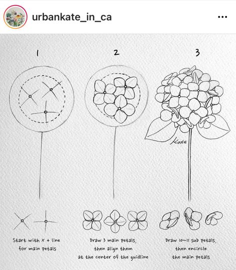 Drawing Botanicals, Flower Bouquet Drawing, How To Draw Flowers, Draw Flowers, Flower Drawing Tutorials, Flower Art Drawing, Flower Artwork, Learn Art, Doodle Art Designs