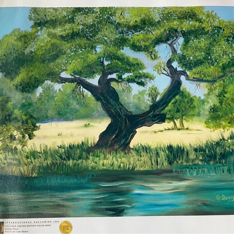 “Tree By The Lake House” By Gladys Davis International Galleries, Inc. Exclusive Limited Edition Giclee Print Canvas In New Condition. Texas Hill Country Oak Tree, Pond Or Lake And Landscape Scene. See Photos For Measurements. Will Ship Rolled Up, Ready To Mount And Or Frame. Tags: Texan Tx Farmhouse Modern Scenery Bluebonnets Flowers Wildflowers Country Oak Trees Oaks Artist Artwork Art Painting Cactus Country Tree, Painting Cactus, Copper Painting, The Lake House, Black Art Painting, Landscape Paintings Acrylic, Misty Forest, Giclee Painting, Plant Painting