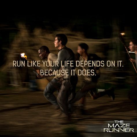 "Run like your life depends on it. Because it does." Maze Runner Quotes, Runner Quotes, Maze Runner The Scorch, Maze Runner Trilogy, Maze Runner Funny, James Dashner, Maze Runner Imagines, Maze Runner Cast, Maze Runner Movie