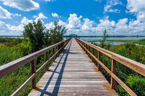 2021 Central Florida Retirement Guide Florida Retirement, Lake Lifestyle, Small Town Living, Best Places To Retire, Stone Creek, Retirement Living, Lakeside Living, Florida City, Twin Lakes