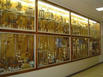 Trophy Case Aesthetic, School Trophy, Painted Trophies, Trophy Display Case, Trophy Shelf, Trophy Collection, Trophy Display, Glass Trophies, Trophy Case