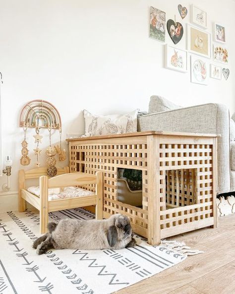 Free Roam Bunny, Indoor Bunny House, Indoor Rabbit House, Diy Bunny Toys, Indoor Rabbit Cage, Rabbit Enclosure, Bunny Hutch, Bunny Room, Pet Bunny Rabbits