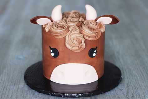 Brown Cow Cake, Brown Wedding Cakes, Cake 2022, Cow Birthday Cake, Cow Food, Smash Cake First Birthday, Cow Cake, Delish Cakes, Cow Cakes