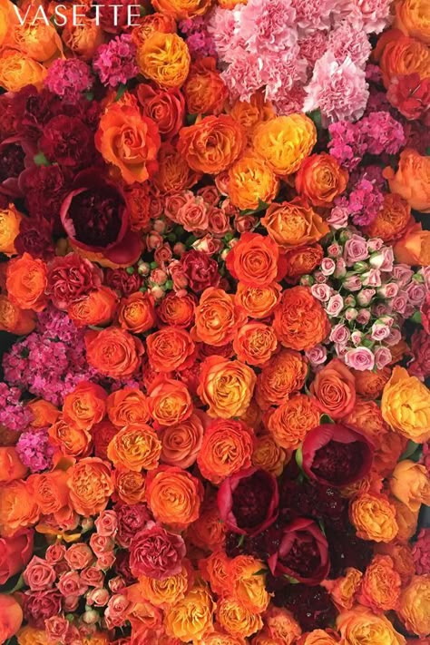 Red Orange Flowers Aesthetic, Red Pink And Yellow Bouquet, Red And Orange Garden, Red Orange Flower Arrangements, Bright Pink And Orange Aesthetic, Red Orange Yellow Flowers, Yellow And Orange Roses, Pink And Orange Flowers Aesthetic, Pink And Orange Flowers Wallpaper