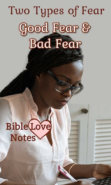 Matthew 10 28, Short Devotions, Life Application Study Bible, Bible Love Notes, Proverbs 9, Fear God, Psalm 147, Matthew 10, Spirit Of Fear