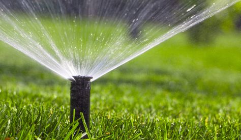 In the Deep South, it's hot. REALLY HOT. That's why it's important to keep your grass watered. That can get expensive. What if there was a grass that could thrive on less water? The answer is here: https://loom.ly/DgxDwdY #ngturf #tiftuf #bermuda #farmfreshsod Water Irrigation System, Lawn Sprinkler System, Water Saving Tips, Sprinkler Repair, Lawn Irrigation, Water Irrigation, Growing Grass, Sprinkler Irrigation, Commercial Landscaping