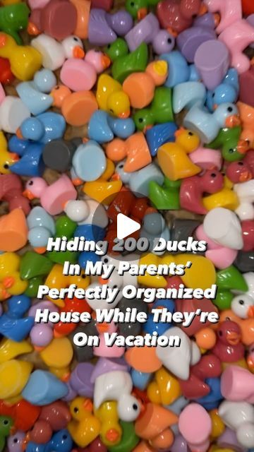 KeeP organized. on Instagram: "Hiding 200 Ducks in My Parents Perfectly Organized House While They’re on Vacation 😂🦆🤭 … Not My Usual Professional Organizer Content But I Love to Laugh as Much as I Love to Organize 💫 #Funny #Prank #Laugh #PracticalJoke #SorryMomAndDad #ProfessionalOrganizer #Ducks #CantHelpMyself" House Pranks, Pranks To Pull, Organized House, Perfectly Organized, Funny Duck, Little Duck, Practical Jokes, Professional Organizer, To Laugh