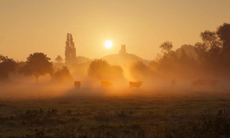 Dawn at Burrow Mump, on the Somerset Levels.