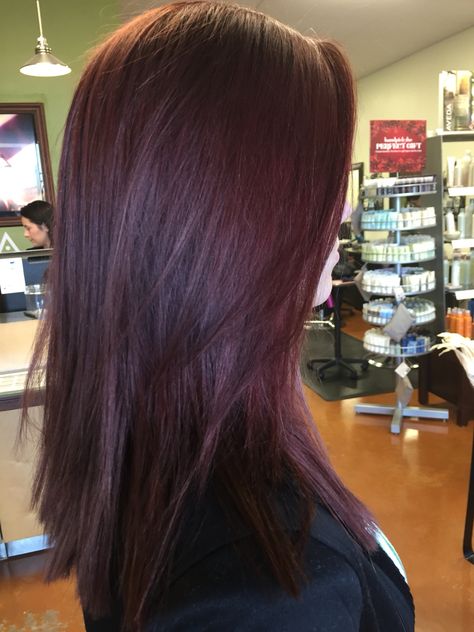 Gorg eggplant purple #shanynwilliams Aubergine Hair Color, Eggplant Colored Hair, Eggplant Hair, Mahogany Hair, Hair Color Plum, Plum Hair, Hair Highlights And Lowlights, Red Hair Inspo, Burgundy Hair