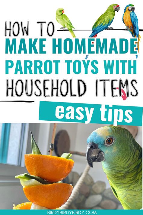 How to Make Homemade Parrot Toys Out of Household Items Conure Toys, Cockatiel Care, Parakeet Care, Homemade Bird Toys, Budgies Parrot, Diy Parrot Toys, Diy Parrot, Conure Bird, Parrot Training