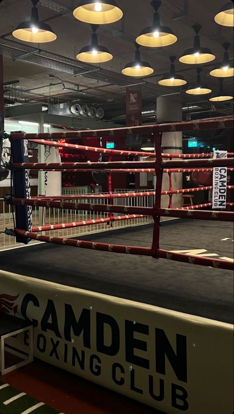 Boxing Aesthetic, Boxer Aesthetic, Boxing Rings, Boxe Thai, Boxing Ring, Boxing Club, Boxing Gym, Sports Aesthetic, Martial Artist