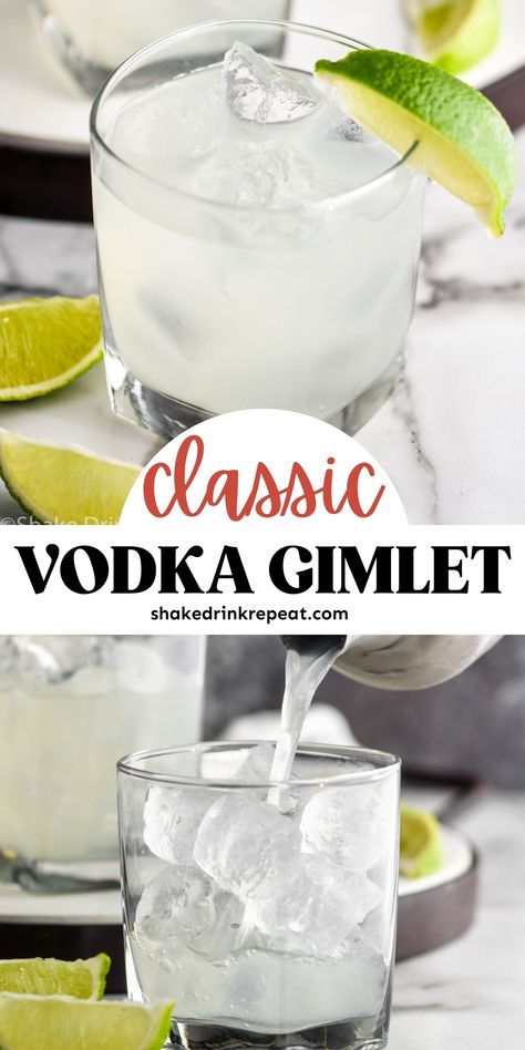 Vodka Gimlet With Roses Lime Juice, Three Ingredient Cocktails, Non Sweet Cocktails, Vodka Gimlet Recipe, Dear Alcohol, Drinks With Vodka, Patio Drinks, Cocktails Made With Vodka, Vodka Gimlet