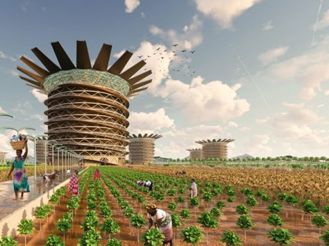 The Sponge: Skyscraper To Collect Rainwater For Drinking And Farming In Africa- eVolo | Architecture Magazine Collect Rainwater, Sponge City, Ji Hoo, Membrane Structure, Water Shortage, Eco City, Architecture Magazine, Architectural Competition, Skyscraper Architecture