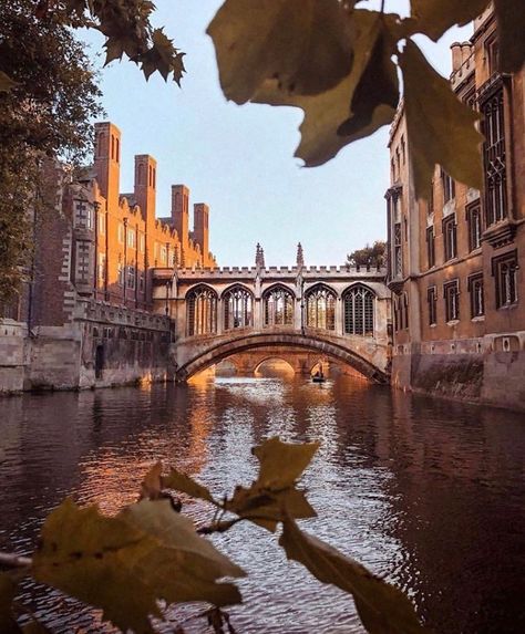 Cambridge College, St Johns College, England Aesthetic, Places In England, Cambridge Uk, Cambridge England, Inspire Me Home Decor, Places In Europe, The Muse