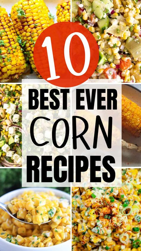 Corn is in season right now, and it’s the perfect time to savor its fresh, sweet flavor. Try these 10 recipes to make the most of peak corn and add a seasonal touch to your meals. Corn Saute Recipe, Corn Thanksgiving Recipes, Italian Corn Recipes, Cooked Corn Recipes, Corn Side Dish Recipes Bbq, Corn Niblets Recipe, Corn Dishes Recipes, Corn Recipes Indian, Corn Side Dish Recipes