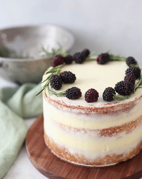 Lemon Rosemary Olive Oil Cake, Rosemary Olive Oil Cake, Lemon Rosemary Cake, Blackberry Curd, Mascarpone Buttercream, Olive Oil Cake Recipe, Rosemary Olive Oil, Lemon Olive Oil Cake