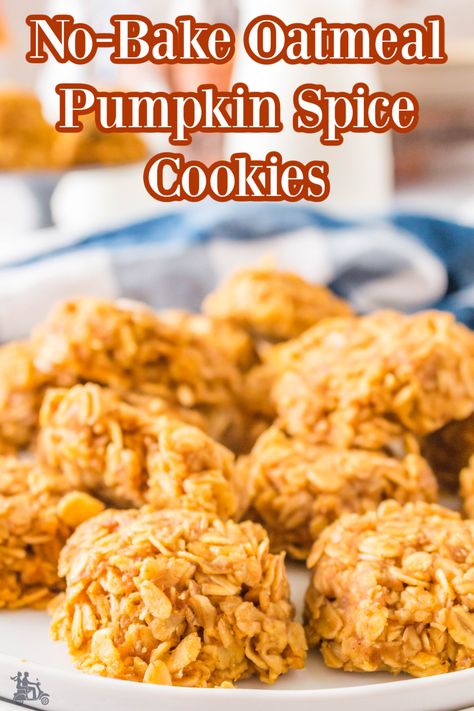 Butternut Cookies Recipe, Butternut Cookies, Pumpkin No Bake Cookies, Oatmeal No Bake, No Bake Oatmeal, Oatmeal No Bake Cookies, Oatmeal Pumpkin, Pumpkin Oatmeal Cookies, Bake Pumpkin