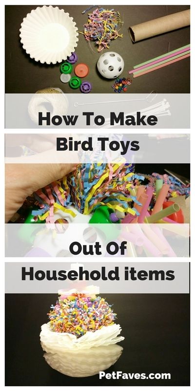 Parakeet Cage Ideas, Homemade Bird Toys, Diy Parrot Toys, Parakeet Care, Diy Bird Cage, Cockatiel Toys, Budgie Toys, Parakeet Toys, Diy Bird Toys