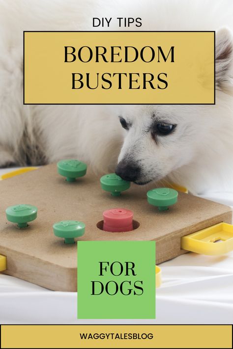 How to keep your dog mentally stimulated. Tips to prevent boredom and destructive behaviour. DIY games to make yourself and recommended toys. Dog Busy Toys, Dog Boredom Buster, Dog Toys For Boredom, Games To Make, Dog Training Classes, Best Dog Toys, Pooper Scooper, Group Of Dogs, Dog Varieties