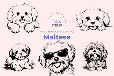 Dog Themed Crafts, Dog Line Drawing, Outline Images, Silky Terrier, Maltese Puppy, Desenho Tattoo, Maltese Dogs, Silhouette Png, Clipart Black And White