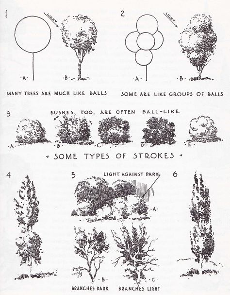 What magic there is in simple black and white. Three sketches from Drawing with Pen & Ink by Arthur L. Guptill, the first by the author, on trees, the second by Schell Lewis, and the third by J... Drawing With Pen, Ink Drawing Techniques, Tree Sketches, Landscape Sketch, Plant Drawing, Landscape Drawings, Tree Drawing, Urban Sketching, Ink Illustrations