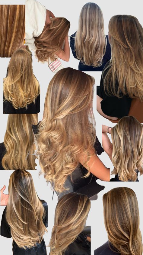 honey blonde highlights 🫶 #hair #hairinspo #hairstyles #highlights Caramel Highlights Dark Blonde Hair, Honey Toned Highlights, Salted Caramel Highlights, Honey Highlights With Money Piece, Blond Hair Types, Caramel Blonde With Highlights, Fall Highlights For Dark Blonde Hair, Highlites Blonde Hair, Warm Brown Hair With Blonde Highlights