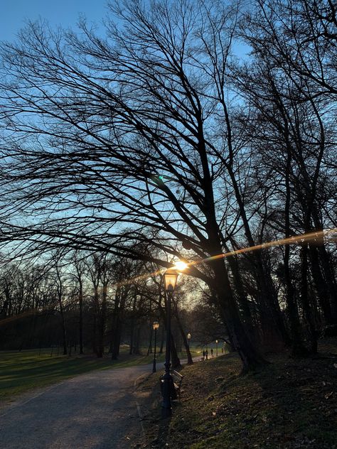 Cold Forest, Sunset Walk, Sun Aesthetic, Forest Aesthetic, Late Autumn, Cold Morning, Winter Sunset, Cold Spring, Winter Mornings