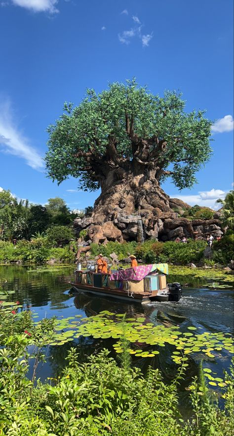 Disney Park Pictures, Walt Disney World Animal Kingdom, Disney’s Animal Kingdom, Animal Kingdom Pictures, Animal Kingdom Aesthetic, Animal Kingdom Wallpaper, Tree Of Life Disney, Tree Of Life Animal Kingdom, Orlando Aesthetic