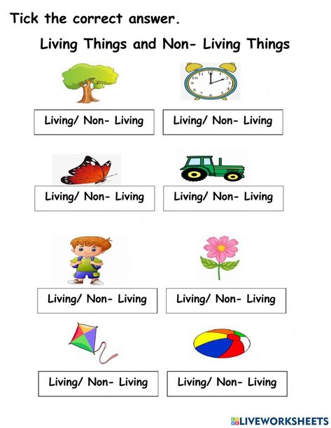 Kg Science Worksheet, Living Non Living Things Worksheet, Living And Non Living Things Worksheets For Kindergarten, Living And Non Living Things Activities For Preschool Worksheets, Living Things And Non Living Things Worksheet For Grade 1, Living Non Living Activities, Living Things Worksheet Kindergarten, Living And Nonliving Activities, Living And Non Living Things Worksheets