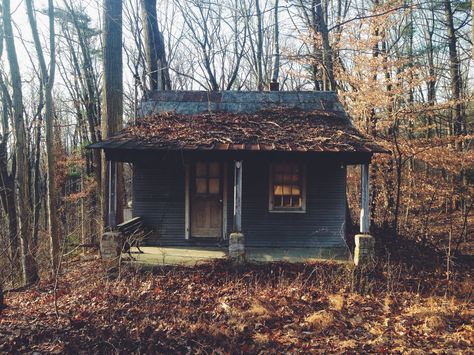 Appalachian Cabin, Appalachia Aesthetic Home, Appalachian Cottagecore, Old Appalachia, Gothic Appalachia, Rural Appalachia, Creepy Appalachia, The Long Dark, Small Barn