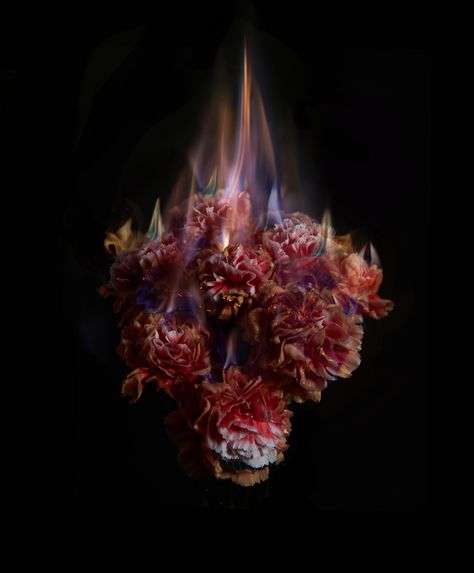 Burning Flowers, Dying Flowers, Gothic Flowers, Growth And Decay, Flowers Abstract, Fire Flower, Fire Photography, Dark Photography, Photography Projects