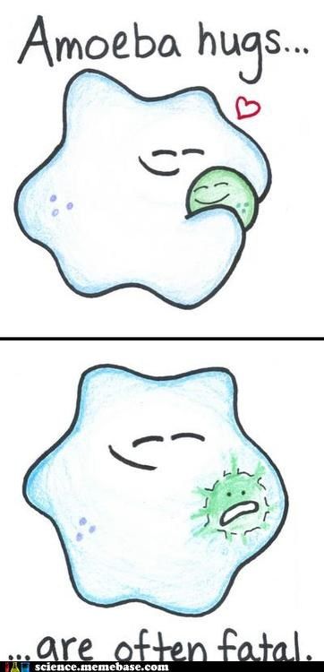 Beware of phagocytosis. This has got to be one of the cutest things ever hahah Biology Puns, Biology Jokes, Biology Humor, Nerd Jokes, Science Geek, Science Nerd, Nerd Humor, Science Jokes, E Mc2