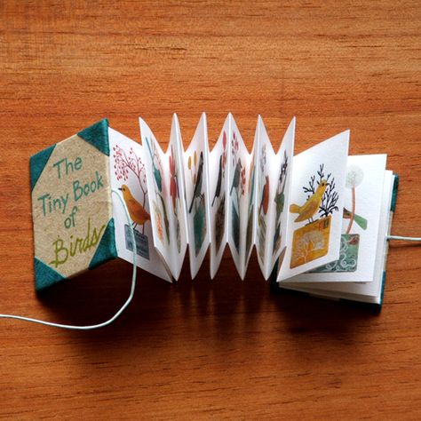 Mini Accordion Book | Flickr - Photo Sharing! Accordian Book, Origami Book, Tiny Books, Maluchy Montessori, Accordion Book, Folding Origami, Accordion Fold, Bookmaking, Bird Book