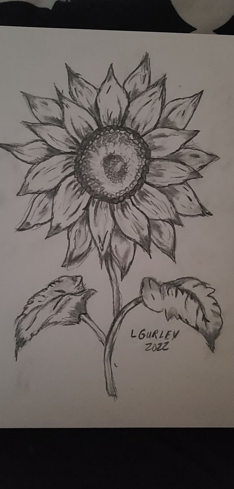 Cool Sunflower Drawings, Sunflower Drawing Sketch, Drawing Ideas Easy Flowers Step By Step, Butterfly And Sunflower Drawing, Simple Floral Sketch, Sceches Drawing Pencil Easy, Sketching Sunflowers, Small Sunflower Drawing, Sunflower Easy Drawing