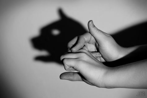 cat shadow Puppet Photography, Shadow Puppets With Hands, Cat Shadow, Hand Shadows, Shadow Theatre, Shadow Art, Shadow Puppets, Flower Names, Hand Puppets