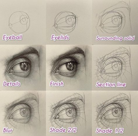 Eye Anatomy For Artist, Quick Eye Sketch, Eye Drawing Study, Eye Structure Drawing, Eyes Anatomy Drawing, Eye Study Reference, Eye Study Drawing, Eye Anatomy Drawing, Eye Drawing Pencil