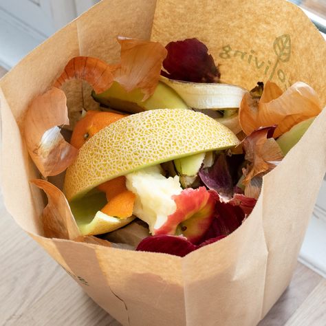 Best way to recycle food waste, keep your kitchen bin clean and pest free.All bags are compostable and made from 100% recycled wood pulp.Strong enough to cope with all household food waste. Made from 100% kraft paper, produced from the wasted pu... Bio Project, Biodegradable Waste, Fat Burning Pills, Solid Waste, Household Waste, Kitchen Waste, Ways To Recycle, Cleanse Your Body, Kitchen Bin