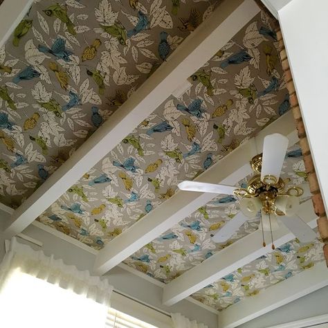 Fabric on Ceiling How Hard Can It Be? Drop Ceiling Makeover, Upholstry Fabric, Fabric Ceiling, Roof Ceiling, Basement Ceiling, Diy Ceiling, Art Decor Diy, Floor Ceiling, White Ceiling