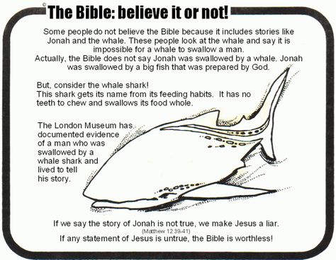 Bible Evidence, Break The Chain, Jonah And The Whale, Bible Study Topics, Bible Study Help, Understanding The Bible, Bible History, Bible Facts, Bible Teachings