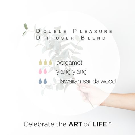 Hawaiian Sandalwood Diffuser Blends, Aphrodisiac Essential Oils, Essential Oil Aphrodisiac, Natural Aphrodisiac, Eo Blends, The Circulatory System, The Art Of Life, Doterra Recipes, Art Of Life