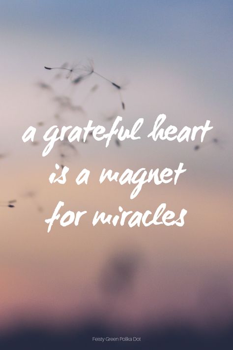 Gratitude Quotes Thankful, Miracle Quotes, Grateful Quotes, Thankful Quotes, 20th Quote, Gratitude Affirmations, Thanksgiving Quotes, More Quotes, Quotes To Inspire