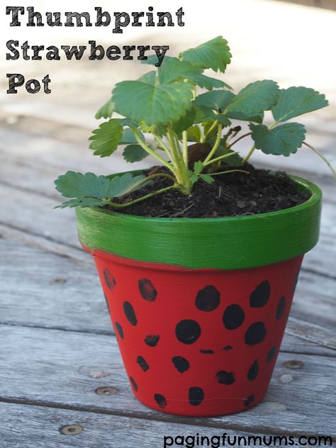 Strawberry Crafts, Strawberry Pots, Painted Pot, Strawberry Planters, Growing Strawberries, Project For Kids, Creative Gardening, Diy Garden Projects, Painted Pots